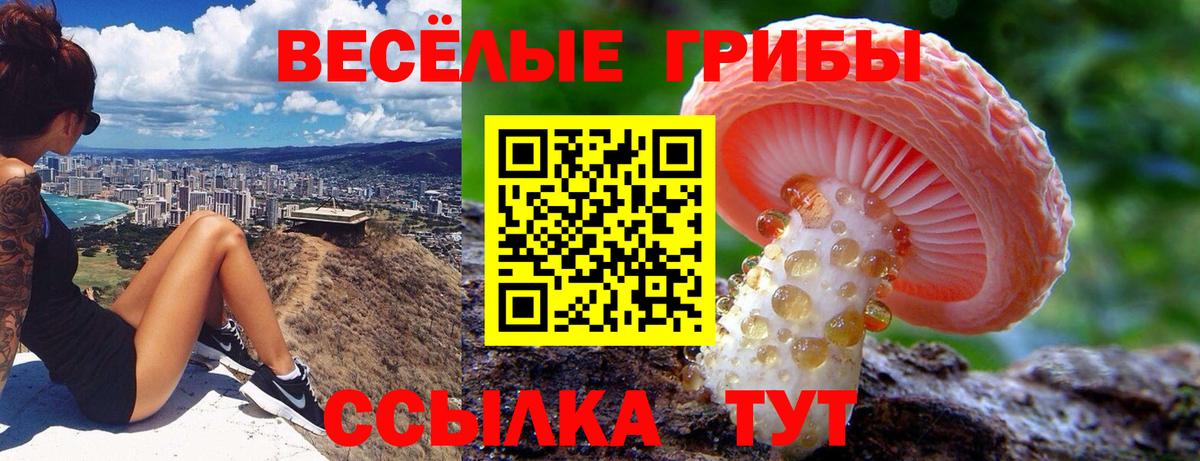 Псилоцибиновые грибы мухоморы Урай